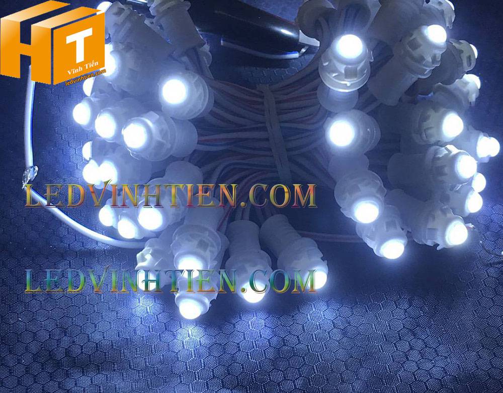 Bóng led đúc F5 đế 9mm 12V đầu đục màu trắng, IP68, loại tốt, giá rẻ, quấn cây, chiếu sáng ngoài trời, IP68, ledvinhtien.com