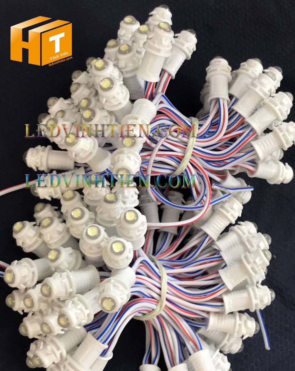 Bóng led đúc F5 đế 9mm 12V đầu đục màu trắng, IP68, loại tốt, giá rẻ, quấn cây, chiếu sáng ngoài trời, IP68, ledvinhtien.com