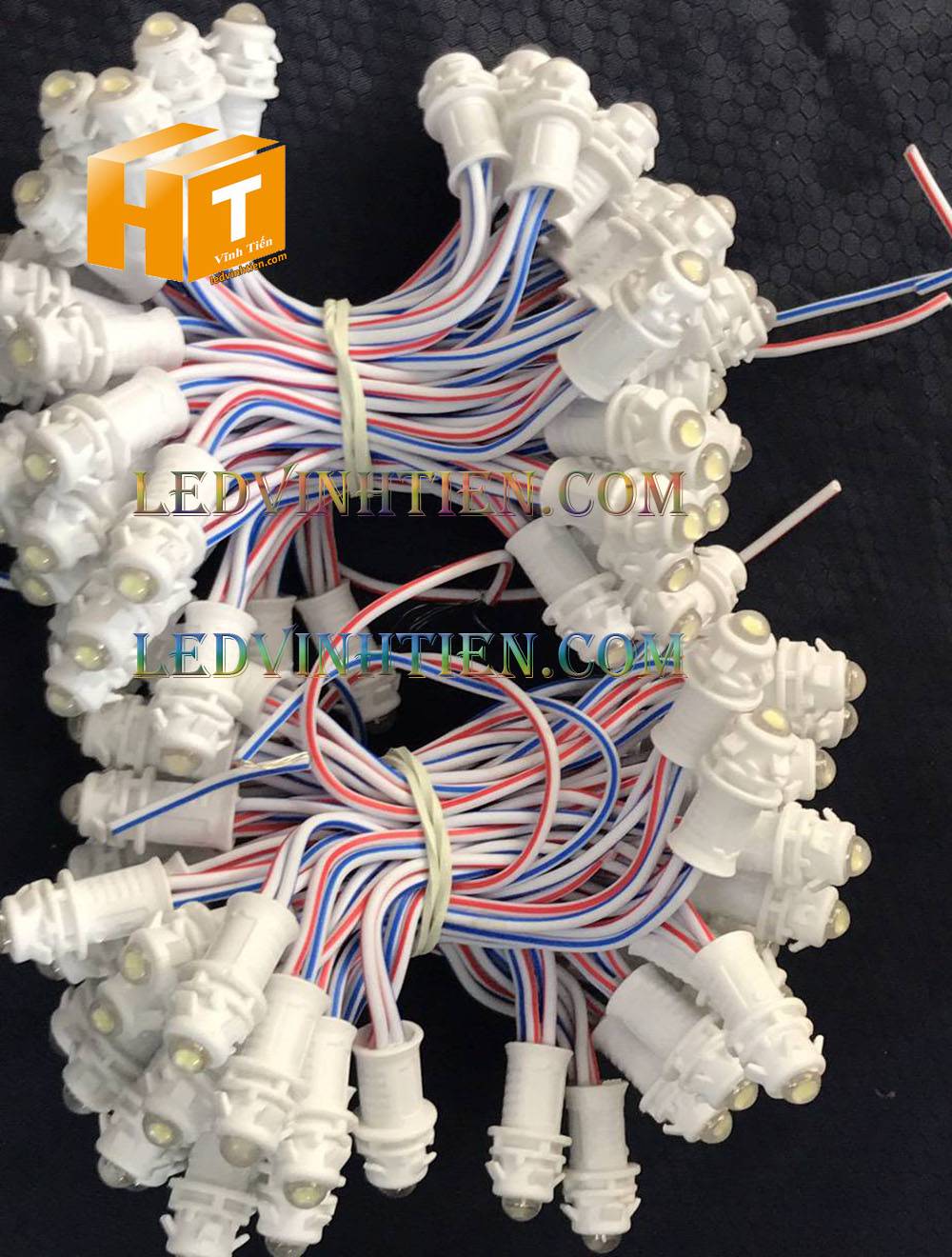 Bóng led đúc F5 đế 9mm 12V đầu đục màu trắng, IP68, loại tốt, giá rẻ, quấn cây, chiếu sáng ngoài trời, IP68, ledvinhtien.com