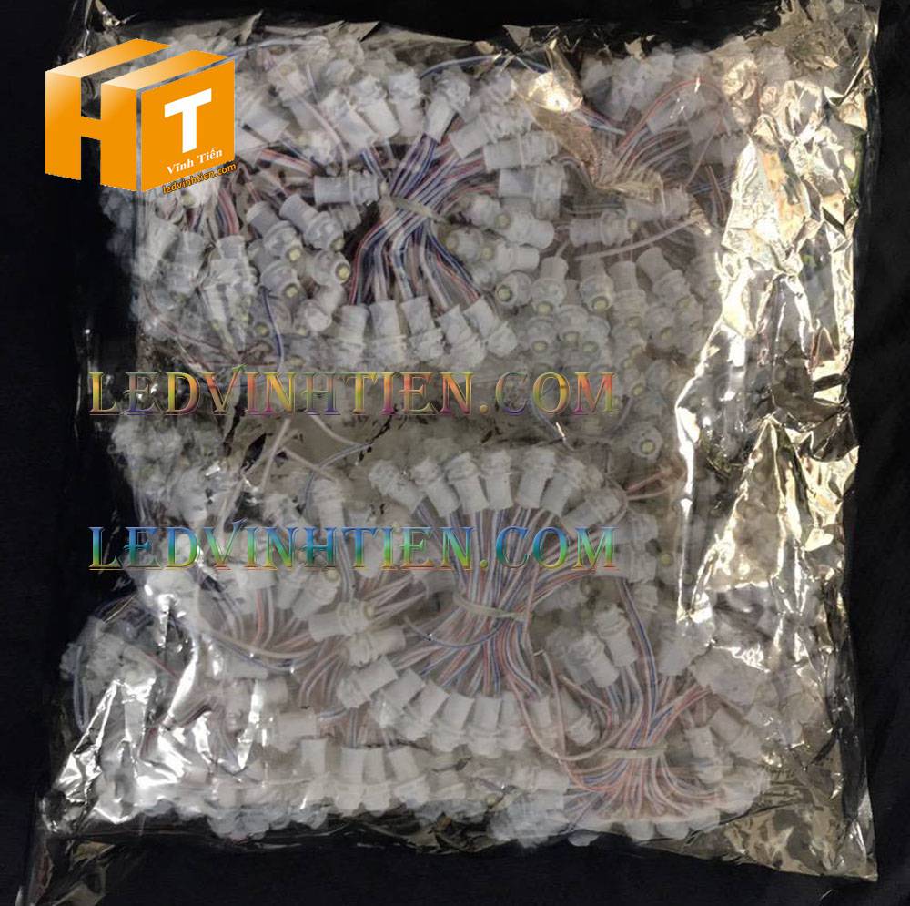 Bóng led đúc F5 đế 9mm 12V đầu đục màu trắng, IP68, loại tốt, giá rẻ, quấn cây, chiếu sáng ngoài trời, IP68, ledvinhtien.com