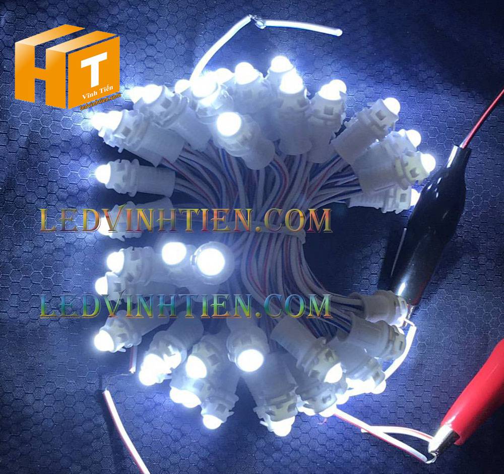 Bóng led đúc F5 đế 9mm 12V đầu đục màu trắng, IP68, loại tốt, giá rẻ, quấn cây, chiếu sáng ngoài trời, IP68, ledvinhtien.com