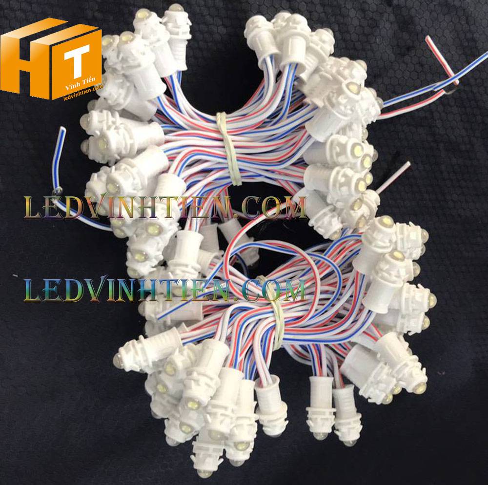 Bóng led đúc F5 đế 9mm 12V đầu đục màu trắng, IP68, loại tốt, giá rẻ, quấn cây, chiếu sáng ngoài trời, IP68, ledvinhtien.com