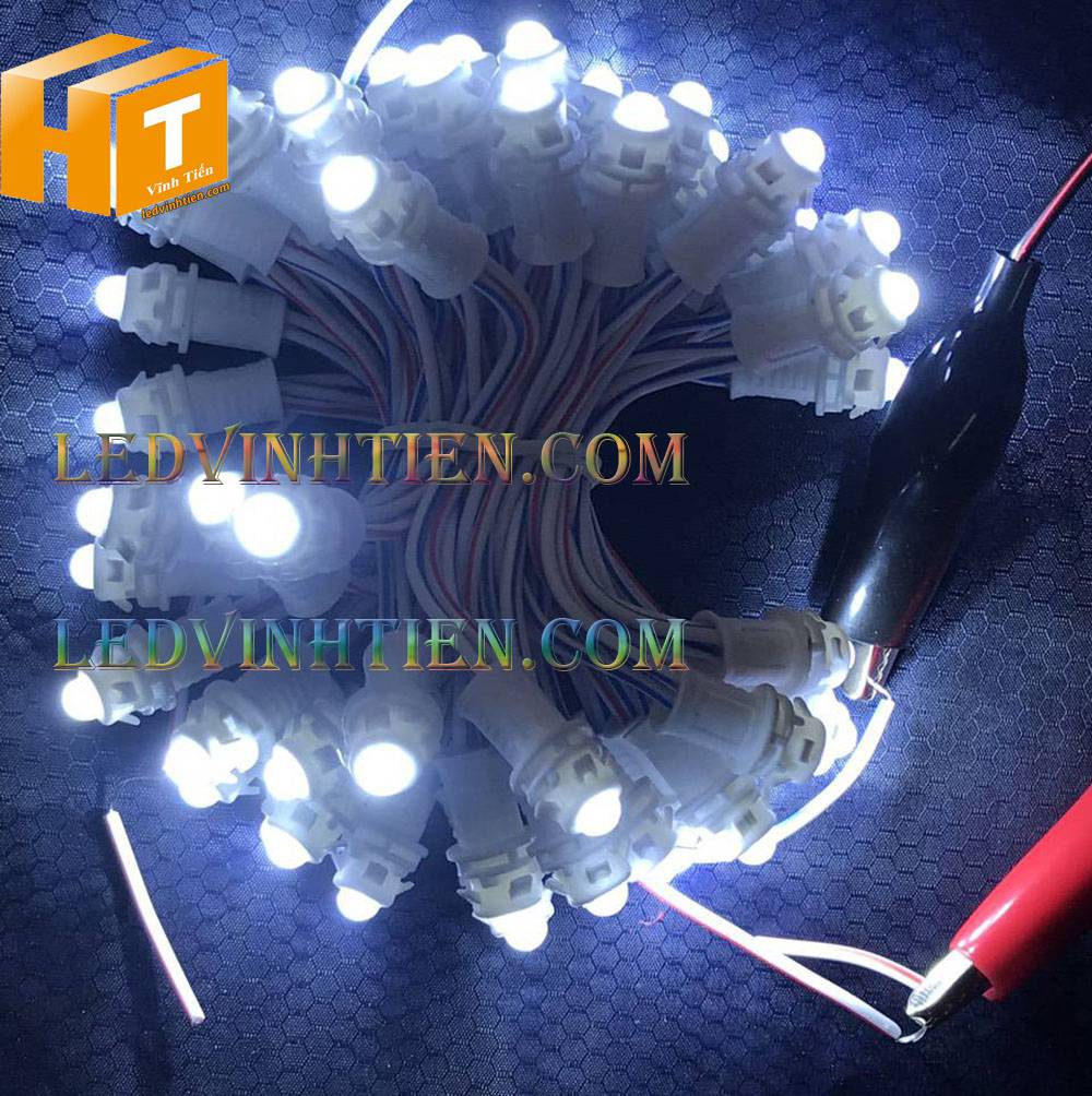 Bóng led đúc F5 đế 9mm 12V đầu đục màu trắng, IP68, loại tốt, giá rẻ, quấn cây, chiếu sáng ngoài trời, IP68, ledvinhtien.com