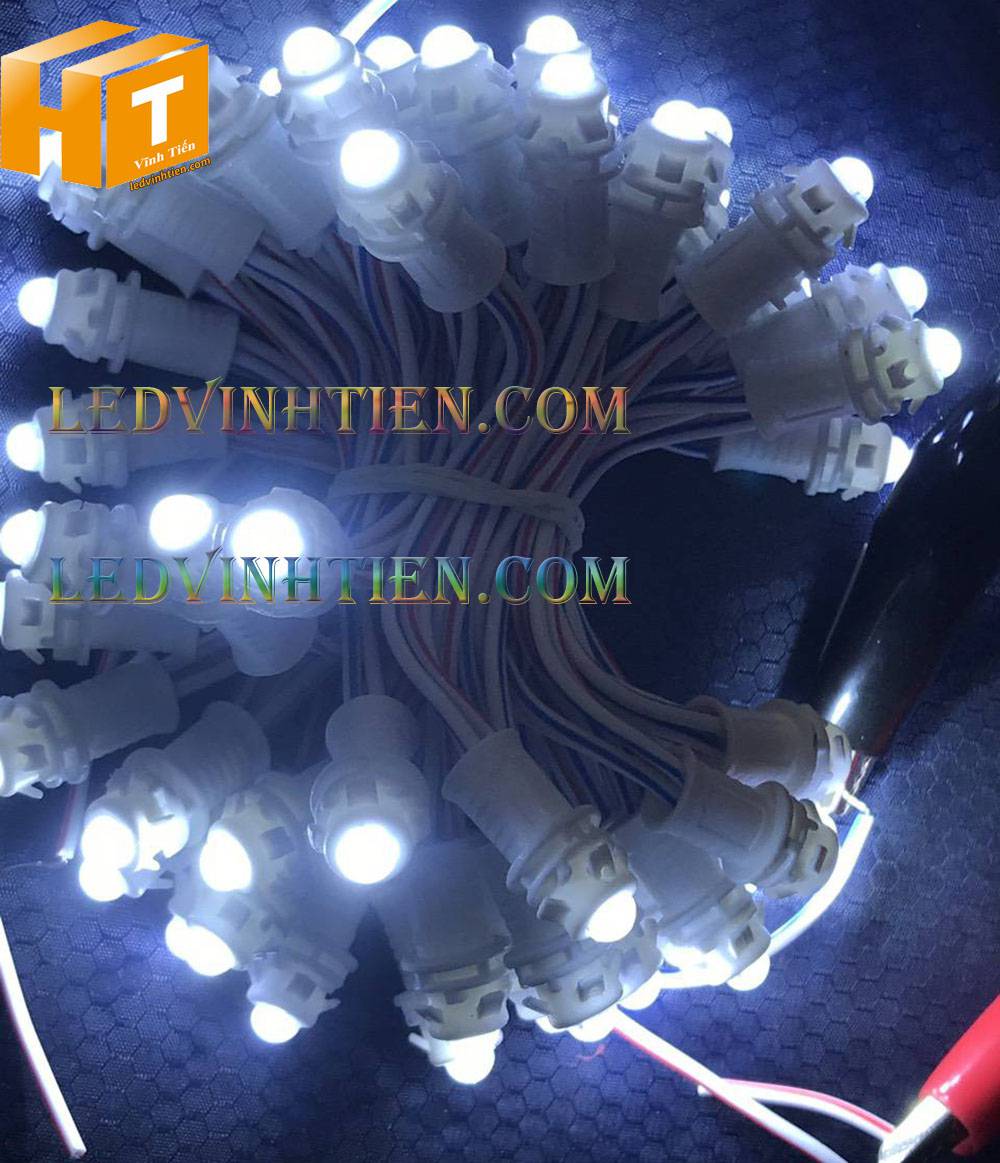 Bóng led đúc F5 đế 9mm 12V đầu đục màu trắng, IP68, loại tốt, giá rẻ, quấn cây, chiếu sáng ngoài trời, IP68, ledvinhtien.com