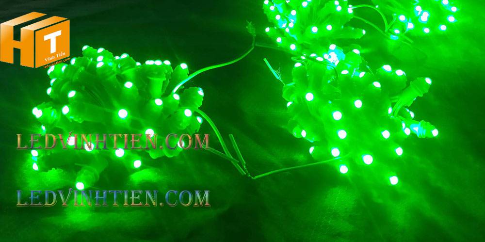 Bóng led đúc F5 đế 9mm 12V đầu đục màu trắng, IP68, loại tốt, giá rẻ, quấn cây, chiếu sáng ngoài trời, IP68, ledvinhtien.com