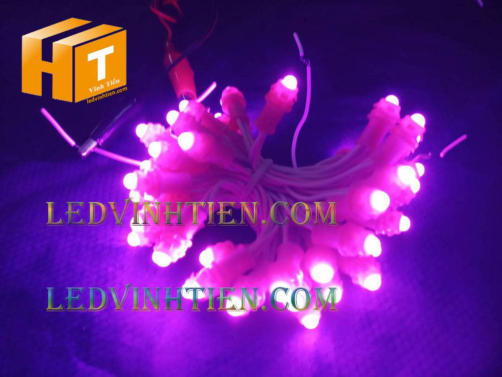 Bóng led đúc F5 đế 9mm 12V đầu đục màu trắng, IP68, loại tốt, giá rẻ, quấn cây, chiếu sáng ngoài trời, IP68, ledvinhtien.com