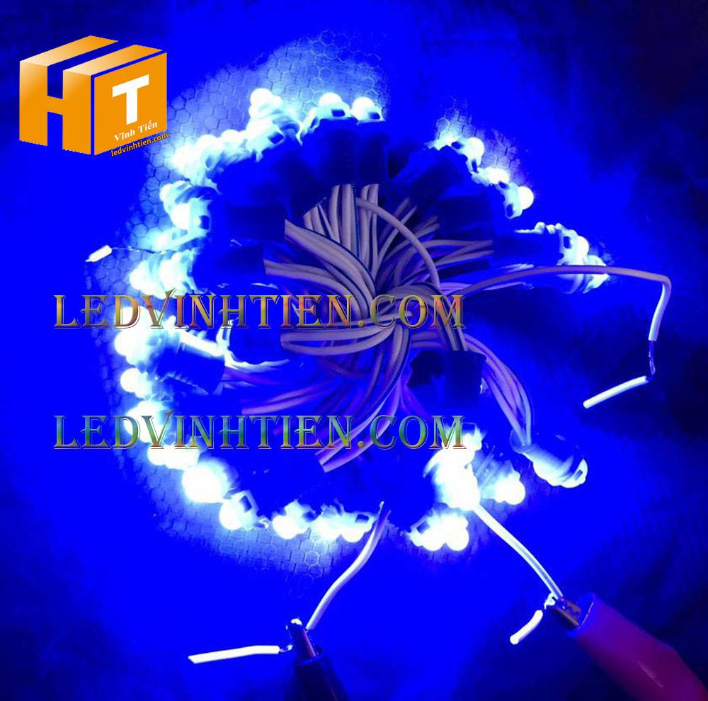 Bóng led đúc F5 đế 9mm 12V đầu đục màu trắng, IP68, loại tốt, giá rẻ, quấn cây, chiếu sáng ngoài trời, IP68, ledvinhtien.com