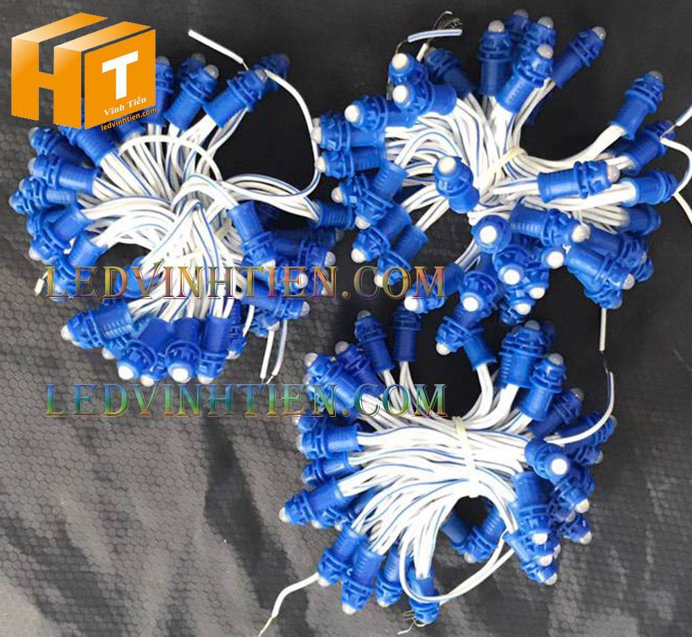 Bóng led đúc F5 đế 9mm 12V đầu đục màu xanh dương, IP68, loại tốt, giá rẻ, quấn cây, chiếu sáng ngoài trời, IP68, ledvinhtien.com