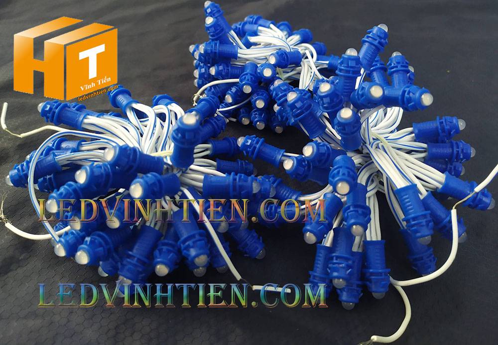 Bóng led đúc F5 đế 9mm 12V đầu đục màu xanh dương, IP68, loại tốt, giá rẻ, quấn cây, chiếu sáng ngoài trời, IP68, ledvinhtien.com