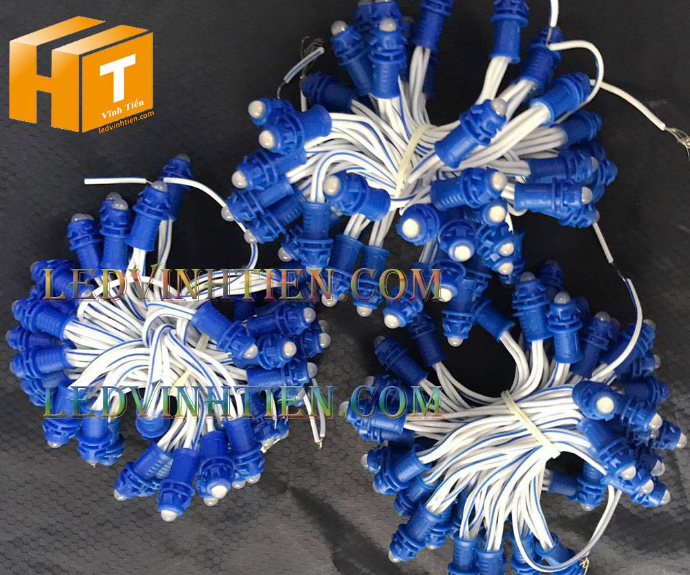 Bóng led đúc F5 đế 9mm 12V đầu đục màu xanh dương, IP68, loại tốt, giá rẻ, quấn cây, chiếu sáng ngoài trời, IP68, ledvinhtien.com