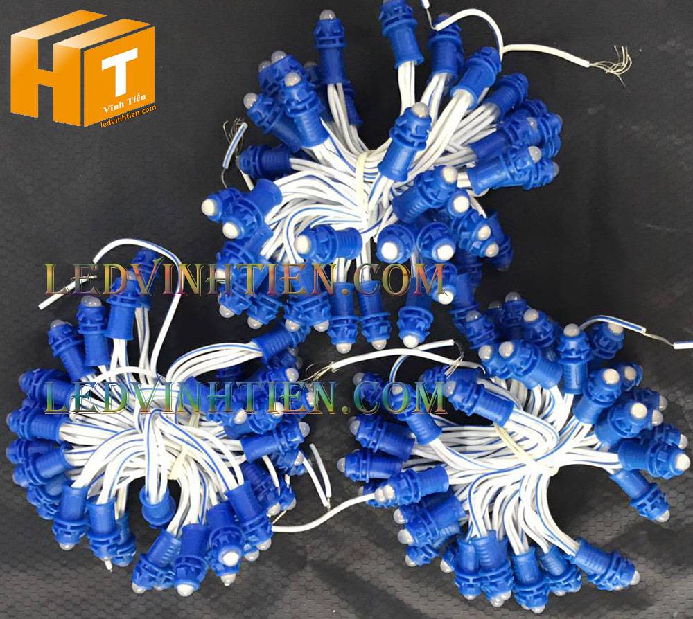 Bóng led đúc F5 đế 9mm 12V đầu đục màu xanh dương, IP68, loại tốt, giá rẻ, quấn cây, chiếu sáng ngoài trời, IP68, ledvinhtien.com