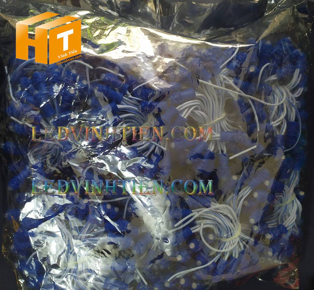 Bóng led đúc F5 đế 9mm 12V đầu đục màu xanh dương, IP68, loại tốt, giá rẻ, quấn cây, chiếu sáng ngoài trời, IP68, ledvinhtien.com