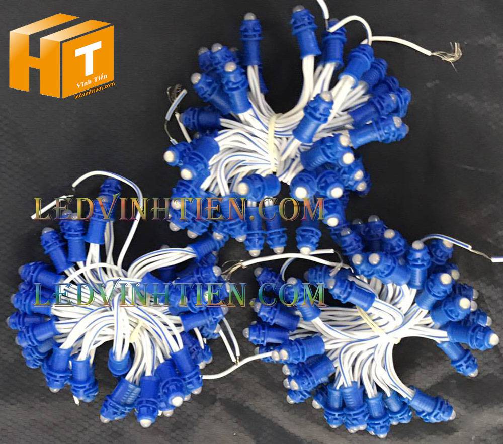 Bóng led đúc F5 đế 9mm 12V đầu đục màu xanh dương, IP68, loại tốt, giá rẻ, quấn cây, chiếu sáng ngoài trời, IP68, ledvinhtien.com