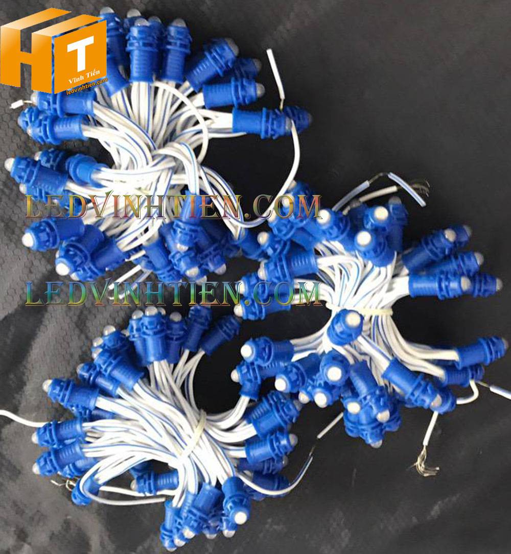 Bóng led đúc F5 đế 9mm 12V đầu đục màu xanh dương, IP68, loại tốt, giá rẻ, quấn cây, chiếu sáng ngoài trời, IP68, ledvinhtien.com