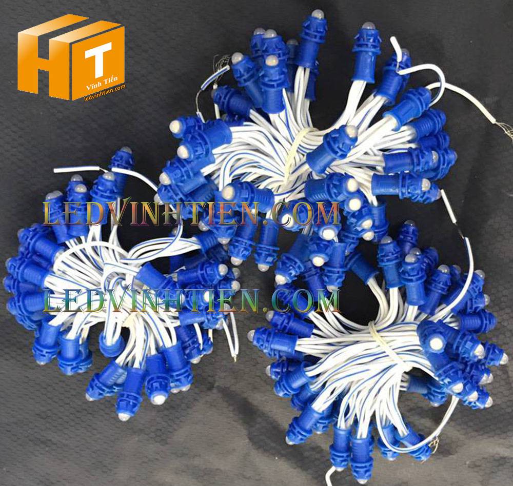 Bóng led đúc F5 đế 9mm 12V đầu đục màu xanh dương, IP68, loại tốt, giá rẻ, quấn cây, chiếu sáng ngoài trời, IP68, ledvinhtien.com