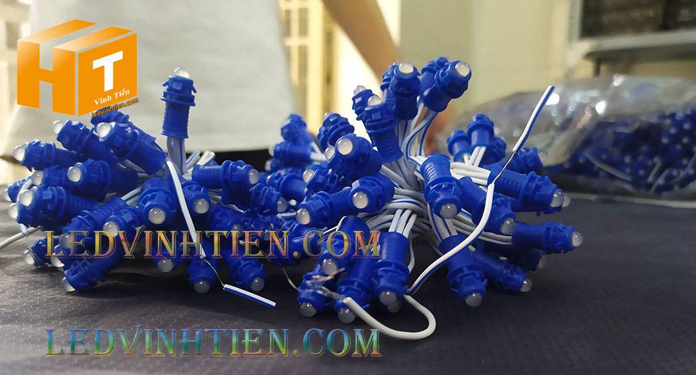 Bóng led đúc F5 đế 9mm 12V đầu đục màu xanh dương, IP68, loại tốt, giá rẻ, quấn cây, chiếu sáng ngoài trời, IP68, ledvinhtien.com