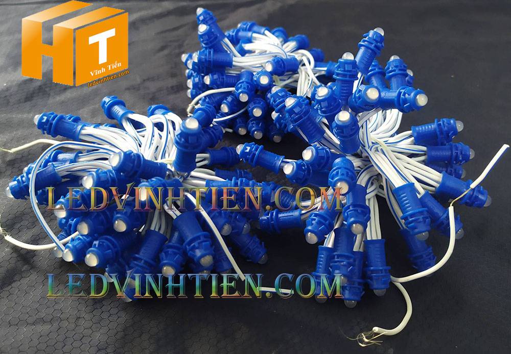 Bóng led đúc F5 đế 9mm 12V đầu đục màu xanh dương, IP68, loại tốt, giá rẻ, quấn cây, chiếu sáng ngoài trời, IP68, ledvinhtien.com