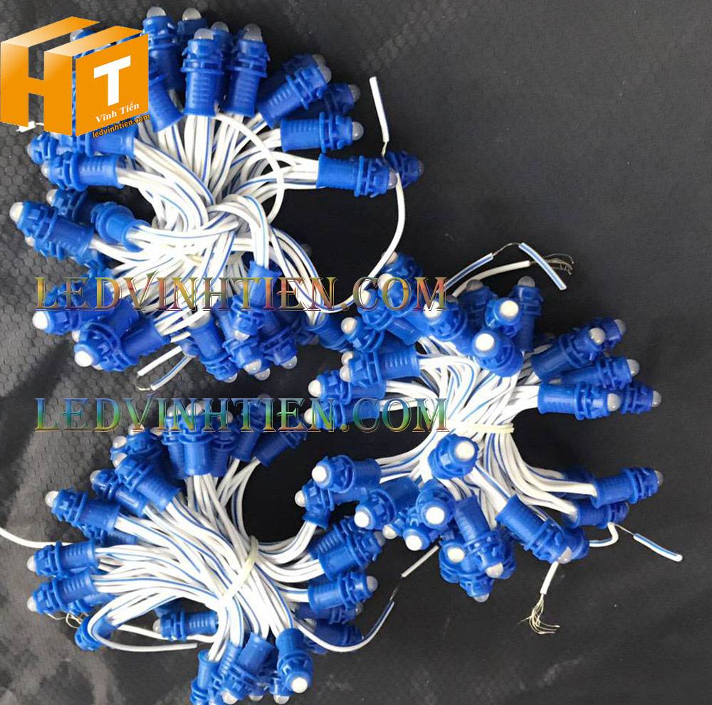 Bóng led đúc F5 đế 9mm 12V đầu đục màu xanh dương, IP68, loại tốt, giá rẻ, quấn cây, chiếu sáng ngoài trời, IP68, ledvinhtien.com