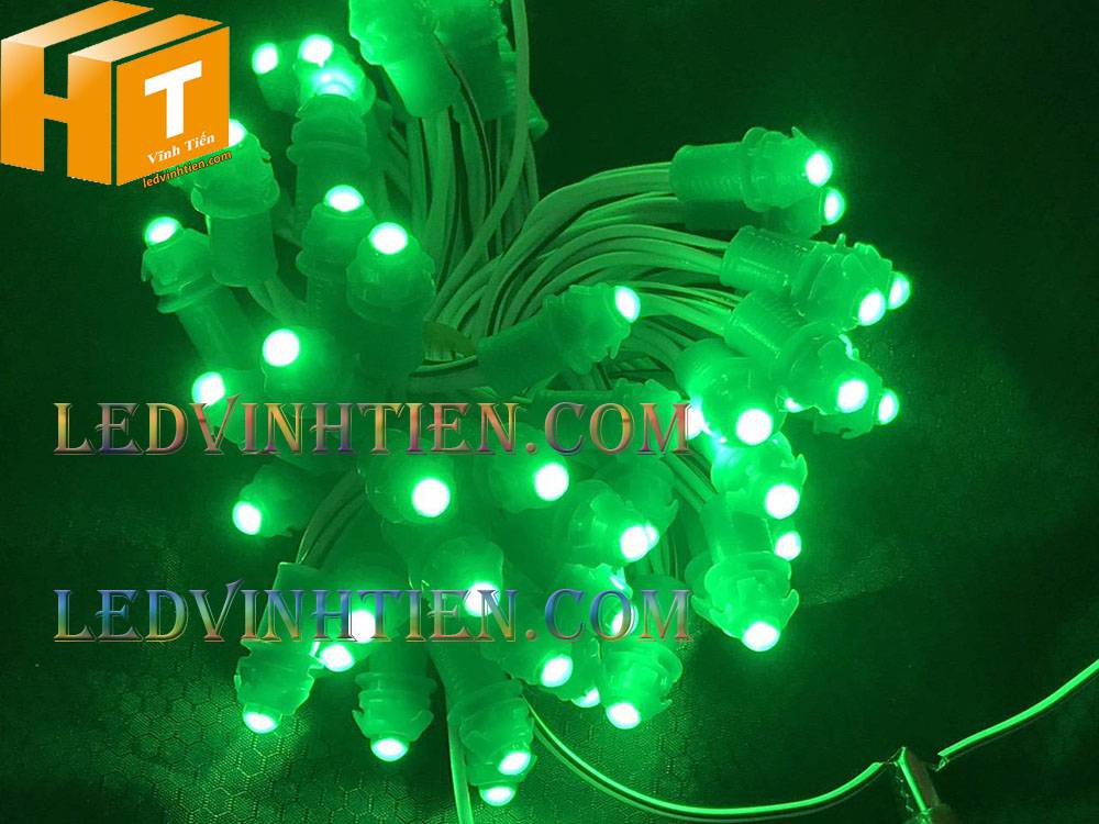 Bóng led đúc F5 đế 9mm 12V đầu đục màu xanh dương, IP68, loại tốt, giá rẻ, quấn cây, chiếu sáng ngoài trời, IP68, ledvinhtien.com