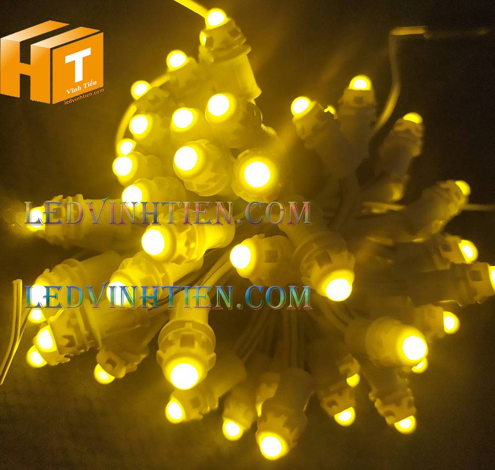 Bóng led đúc F5 đế 9mm 12V đầu đục màu xanh dương, IP68, loại tốt, giá rẻ, quấn cây, chiếu sáng ngoài trời, IP68, ledvinhtien.com