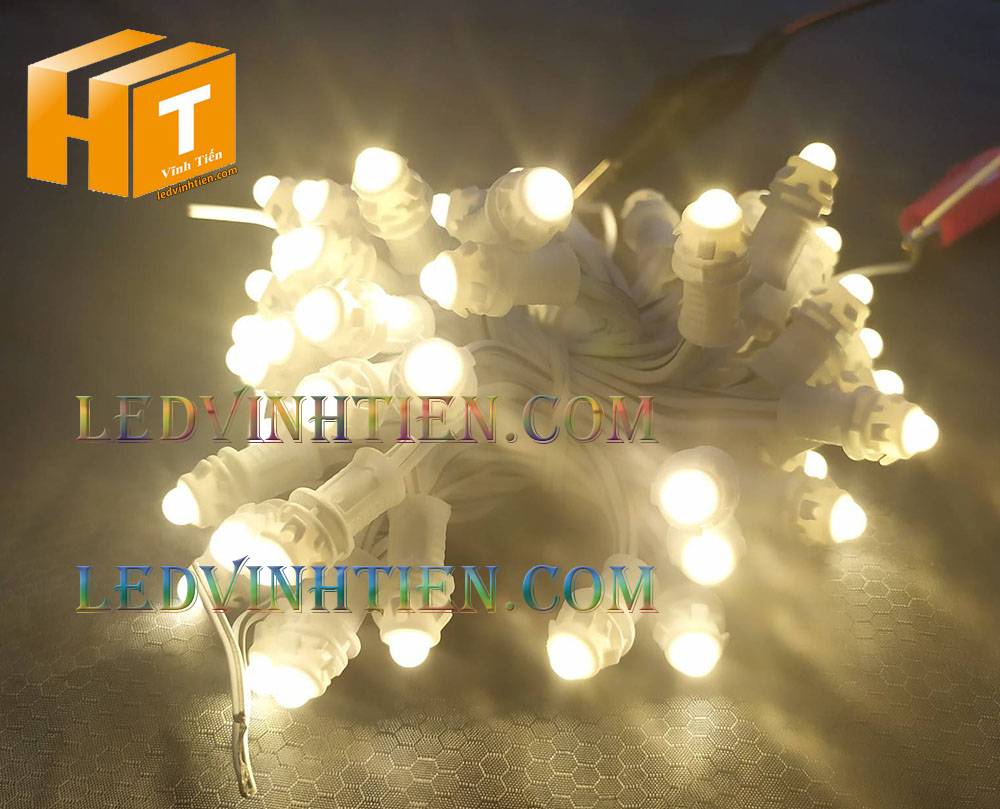 Bóng led đúc F5 đế 9mm 12V đầu đục màu xanh dương, IP68, loại tốt, giá rẻ, quấn cây, chiếu sáng ngoài trời, IP68, ledvinhtien.com