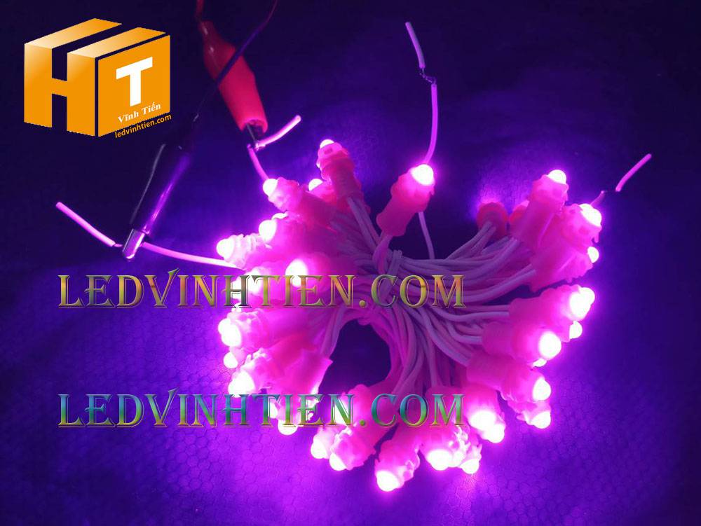 Bóng led đúc F5 đế 9mm 12V đầu đục màu xanh dương, IP68, loại tốt, giá rẻ, quấn cây, chiếu sáng ngoài trời, IP68, ledvinhtien.com