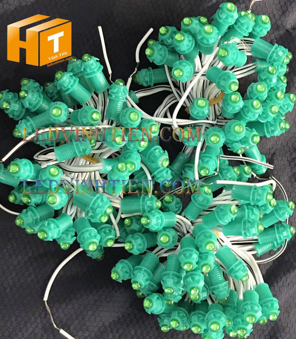 Bóng led đúc F5 đế 9mm 12V đầu đục màu xanh lá, IP68, loại tốt, giá rẻ, quấn cây, chiếu sáng ngoài trời, IP68, ledvinhtien.com