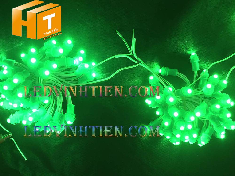 Bóng led đúc F5 đế 9mm 12V đầu đục màu xanh lá, IP68, loại tốt, giá rẻ, quấn cây, chiếu sáng ngoài trời, IP68, ledvinhtien.com