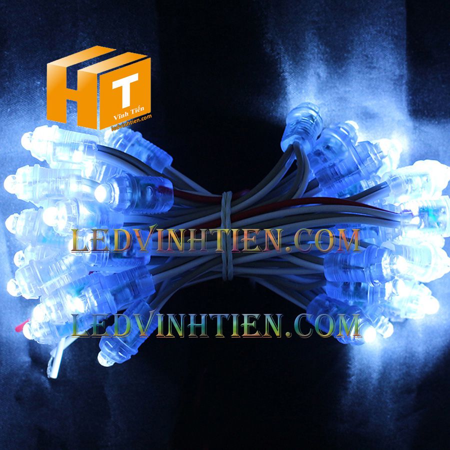 Bóng led đúc F5 đế 9mm 12V đầu trong màu vàng, IP68, loại tốt, giá rẻ, siêu sáng, chiếu sáng ngoài trời, IP68, ledvinhtien.com