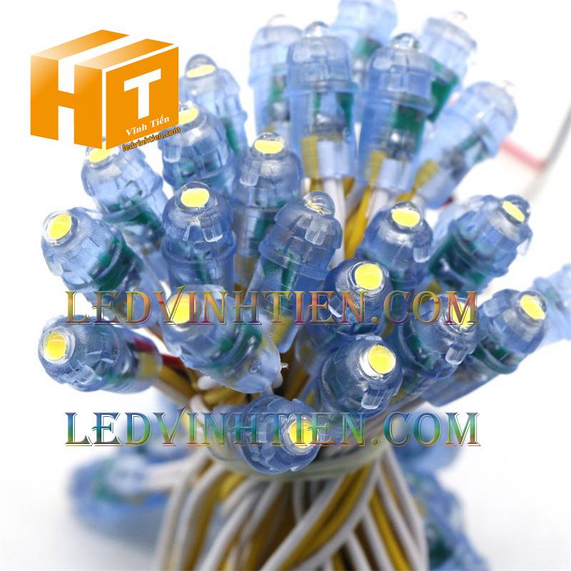 Bóng led đúc F5 đế 9mm 12V đầu trong màu vàng, IP68, loại tốt, giá rẻ, siêu sáng, chiếu sáng ngoài trời, IP68, ledvinhtien.com