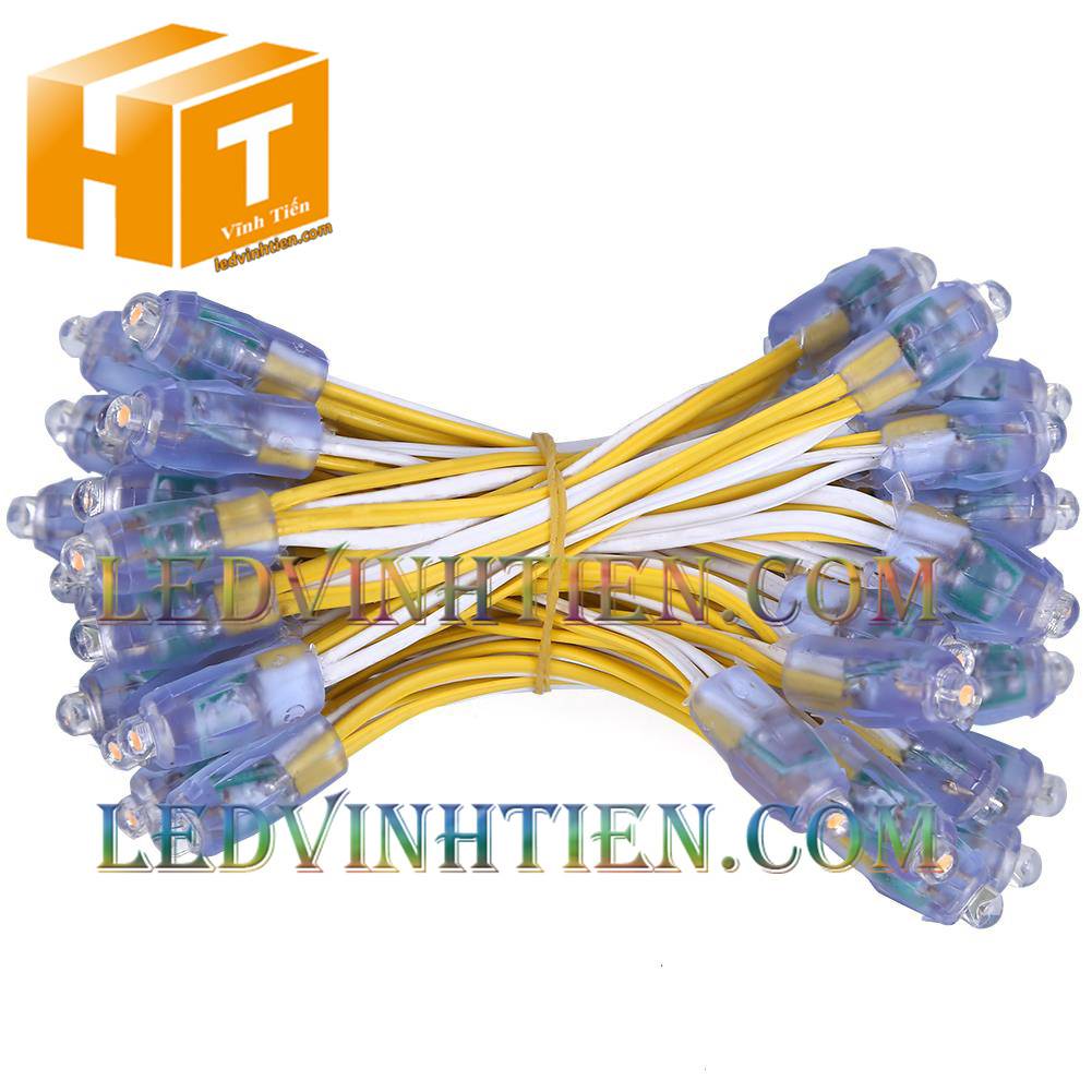 Bóng led đúc F5 đế 9mm 12V đầu trong màu vàng, IP68, loại tốt, giá rẻ, siêu sáng, chiếu sáng ngoài trời, IP68, ledvinhtien.com