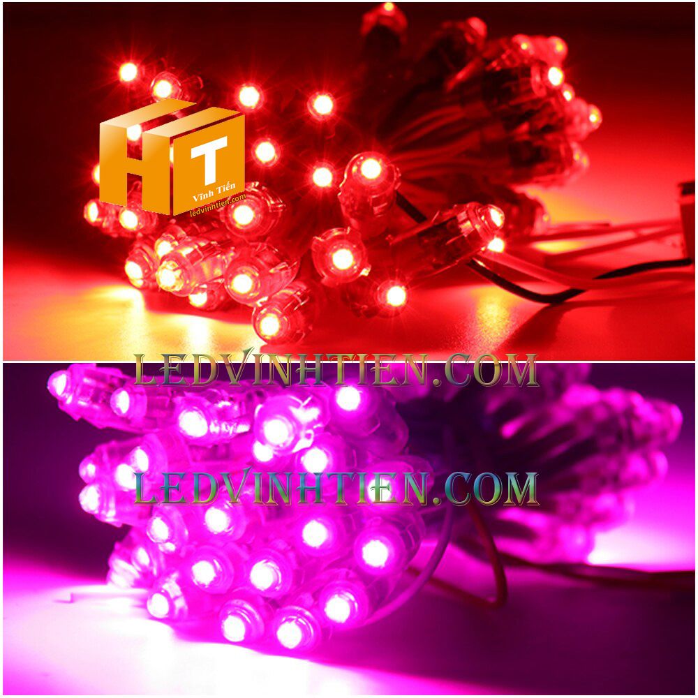 Bóng led đúc F5 đế 9mm 12V đầu trong màu hồng, IP68, loại tốt, giá rẻ, siêu sáng, chiếu sáng ngoài trời, IP68, ledvinhtien.com