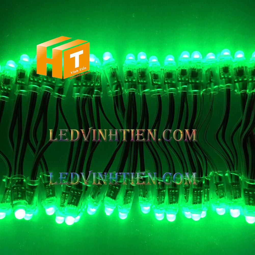 Bóng led đúc F5 đế 9mm 12V đầu trong màu xanh lá, IP68, loại tốt, giá rẻ, siêu sáng, chiếu sáng ngoài trời, IP68, ledvinhtien.com