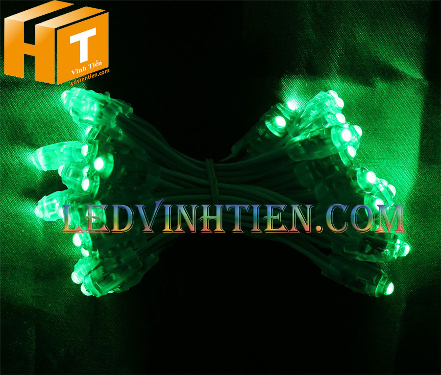 Bóng led đúc F5 đế 9mm 12V đầu trong màu xanh lá, IP68, loại tốt, giá rẻ, siêu sáng, chiếu sáng ngoài trời, IP68, ledvinhtien.com