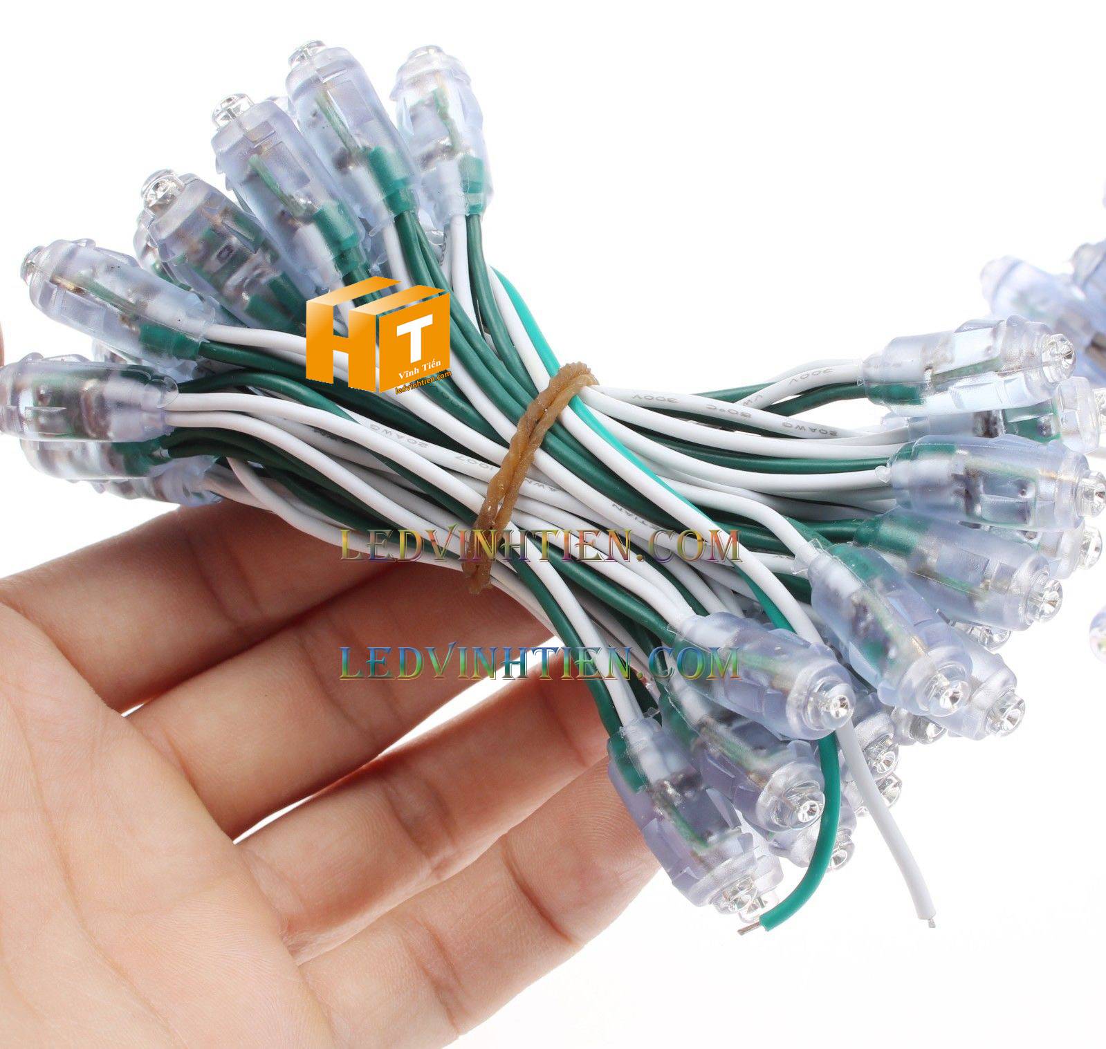 Bóng led đúc F5 đế 9mm 12V đầu trong màu xanh lá, IP68, loại tốt, giá rẻ, siêu sáng, chiếu sáng ngoài trời, IP68, ledvinhtien.com