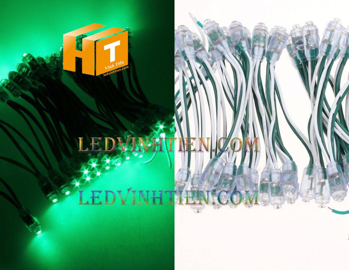 Bóng led đúc F5 đế 9mm 12V đầu trong màu xanh lá, IP68, loại tốt, giá rẻ, siêu sáng, chiếu sáng ngoài trời, IP68, ledvinhtien.com