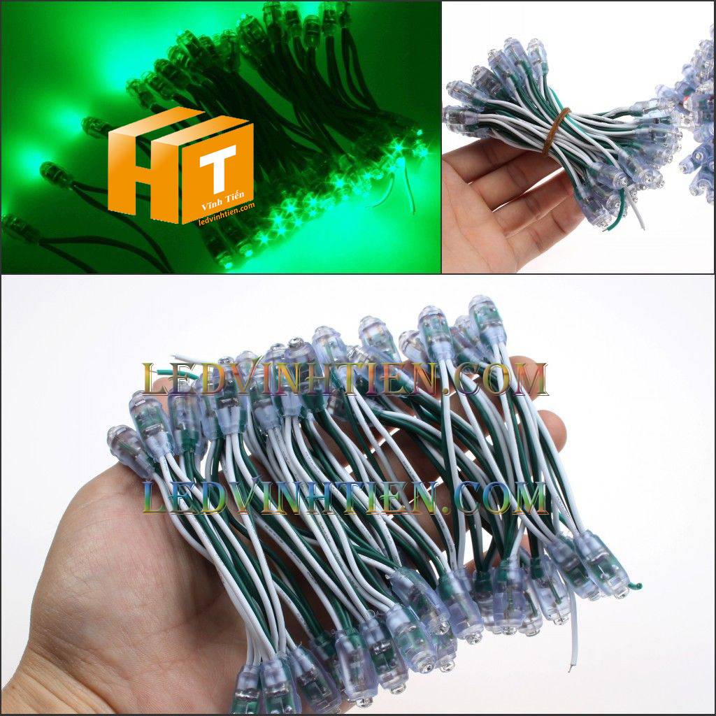 Bóng led đúc F5 đế 9mm 12V đầu trong màu xanh lá, IP68, loại tốt, giá rẻ, siêu sáng, chiếu sáng ngoài trời, IP68, ledvinhtien.com