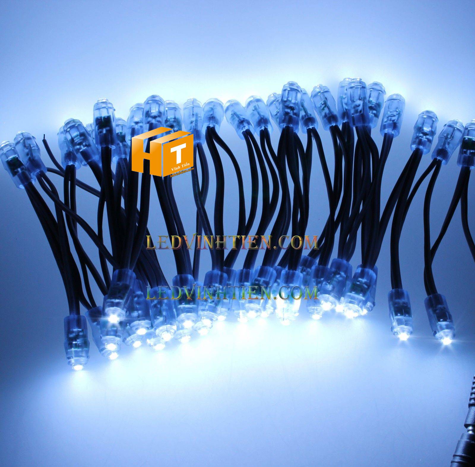 Bóng led đúc F5 đế 9mm 12V đầu trong màu xanh lá, IP68, loại tốt, giá rẻ, siêu sáng, chiếu sáng ngoài trời, IP68, ledvinhtien.com