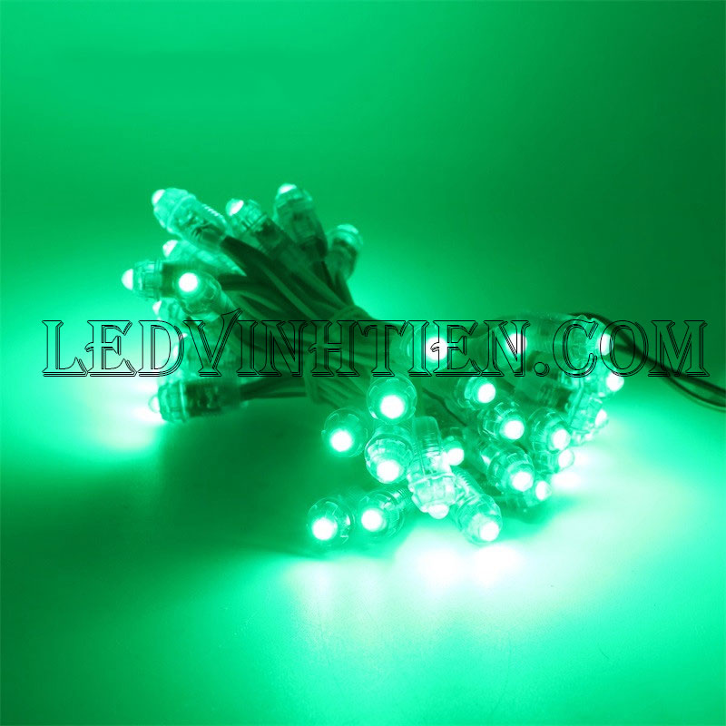 Bóng led đúc F5 đế 9mm 12V đầu trong màu xanh lá, IP68, loại tốt, giá rẻ, siêu sáng, chiếu sáng ngoài trời, IP68, ledvinhtien.com