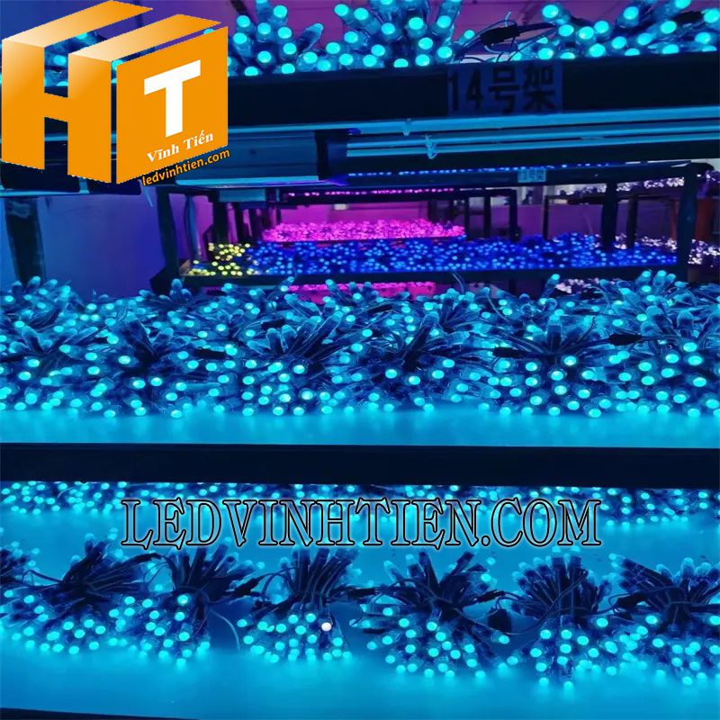 Dây led hạt đúc chống nước 5v dùng trong nhà và ngoài trời