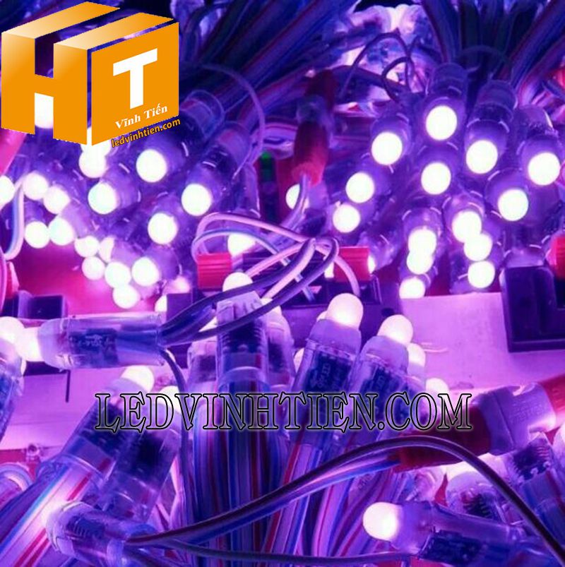 Bóng led đúc f7 đế 12mm đầu đục màu tím loại tốt