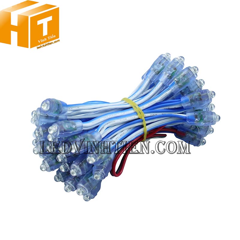 Dây đèn led đúc 5v màu xanh dương chống nước