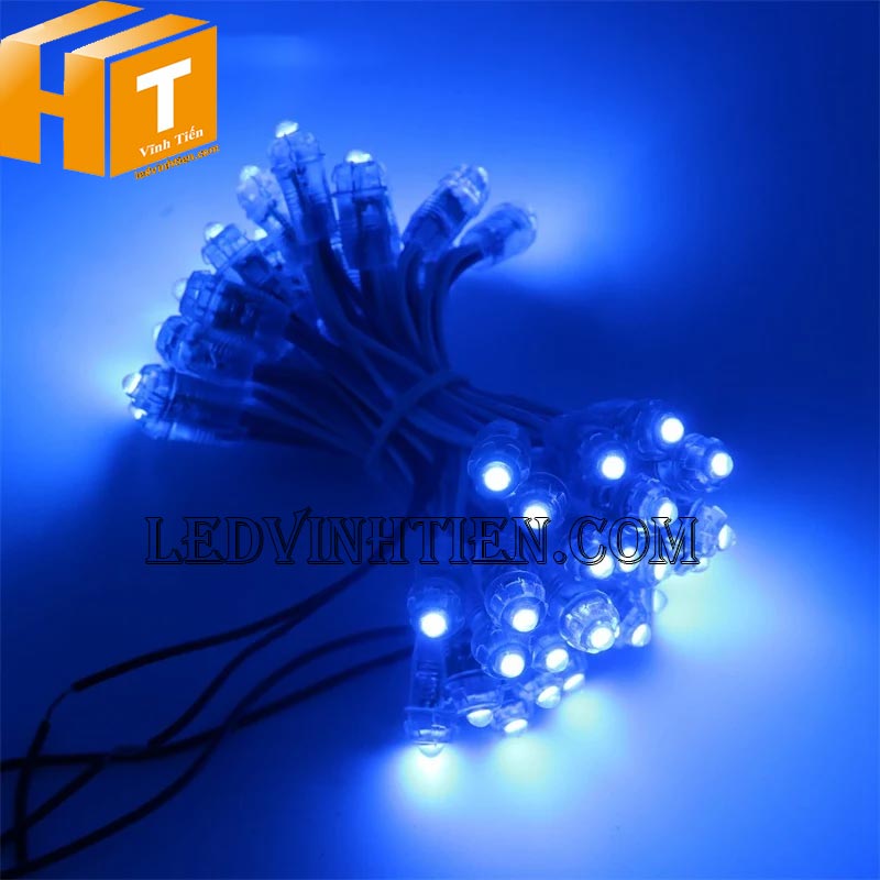 Led đúc 5v chống nước màu xanh dương dùng ngoài trời