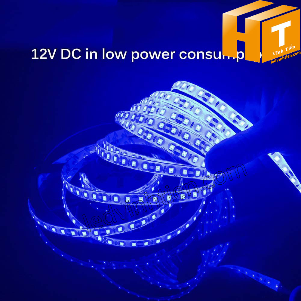 Ảnh chụp nhiều góc cạnh của đèn LED DÂY DÁN chip SMD 5054 ánh sáng xanh dương siêu sáng là loại led dây dán cuộn dài 5m, chạy điện 12V, ledvinhtien.com