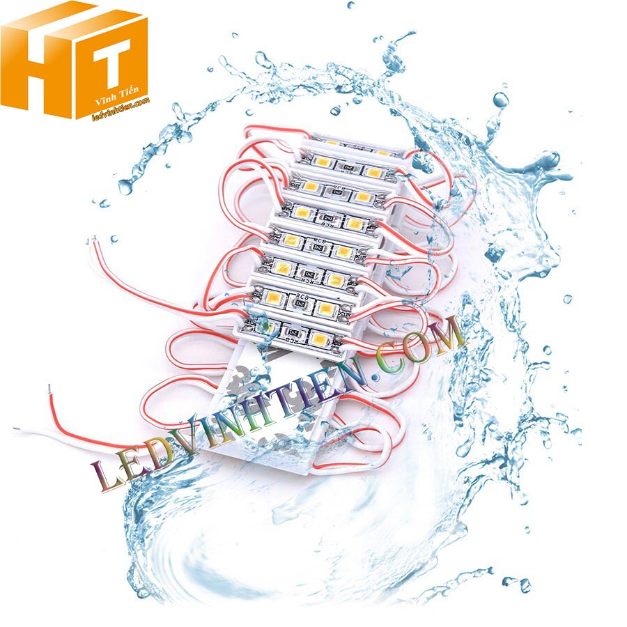 Led hắt 2 bóng 12V 2835 màu xanh dương