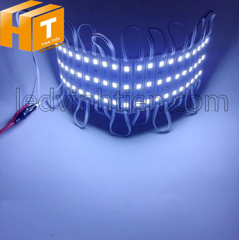 Led module 12V 3 bóng 5054 ánh sáng trắng