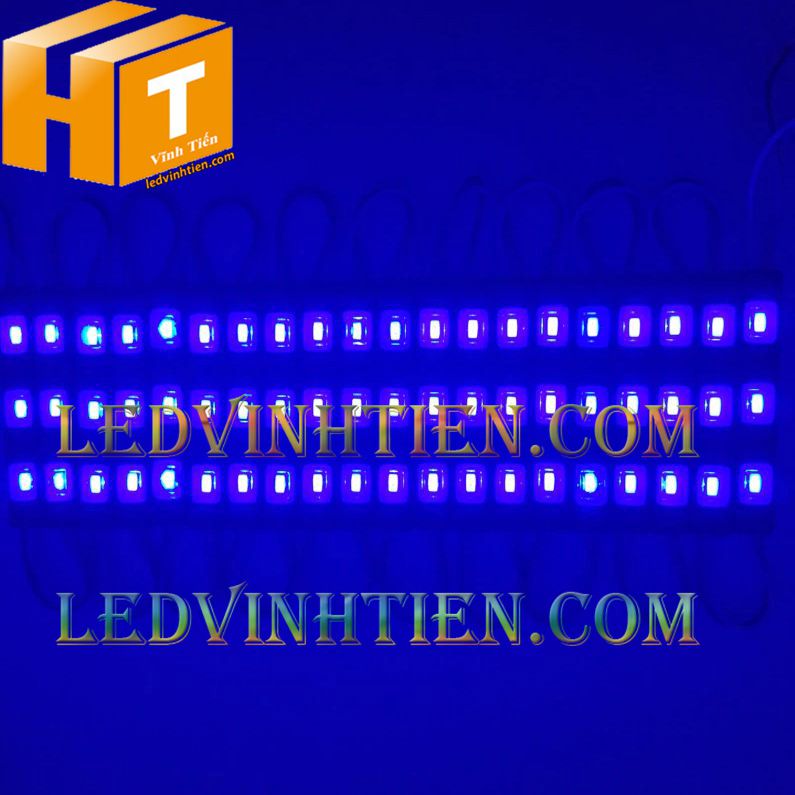 Led hắt, led module 3 bóng 5730 xanh dương, giá rẻ, có thấu kính, siêu sáng, dùng ngoài trời, ledvinhtien.com