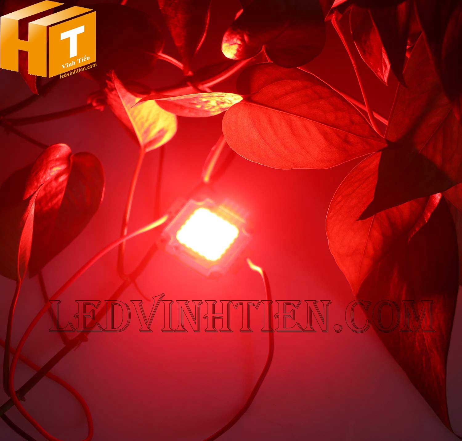 Tim đèn pha 50W màu đỏ