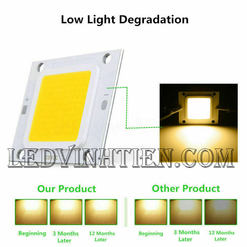 Tim đèn pha 50W xanh lá