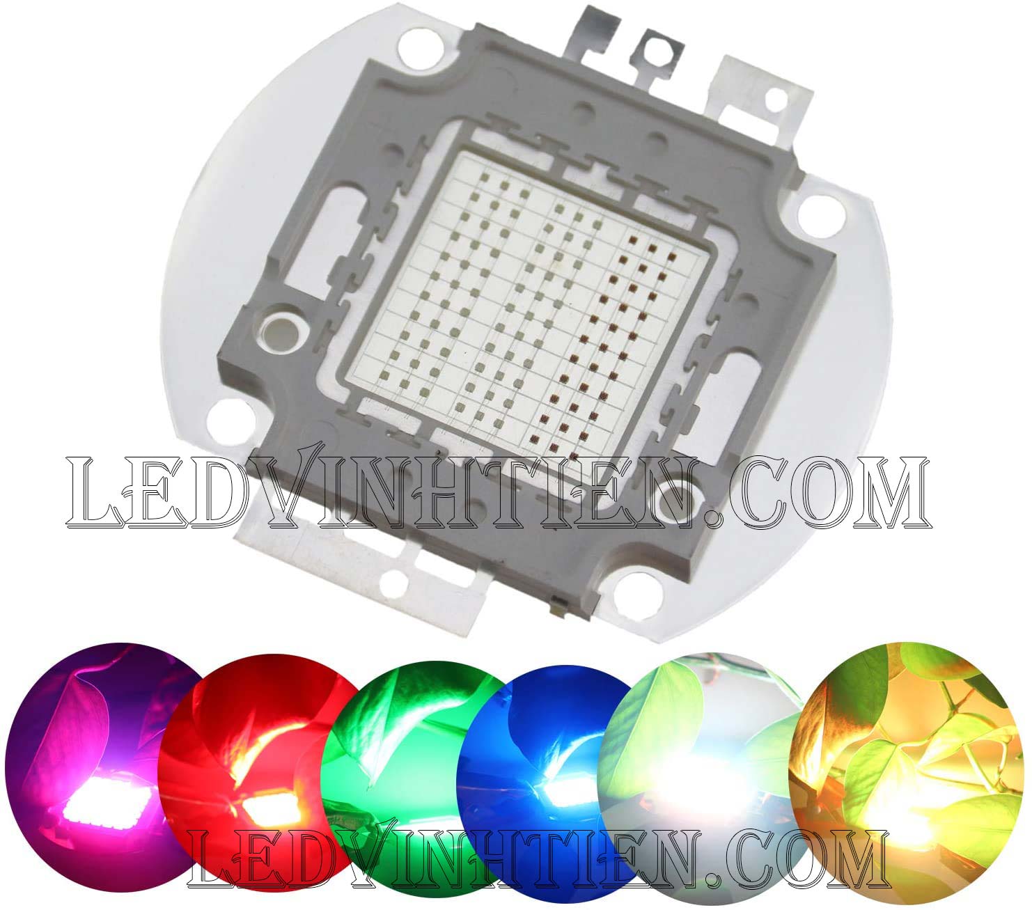 Tim đèn pha 50W xanh lá